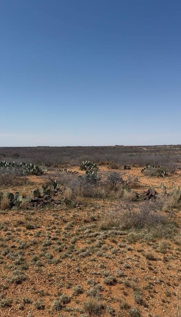 28.11 acres in Mitchell County - photo 6