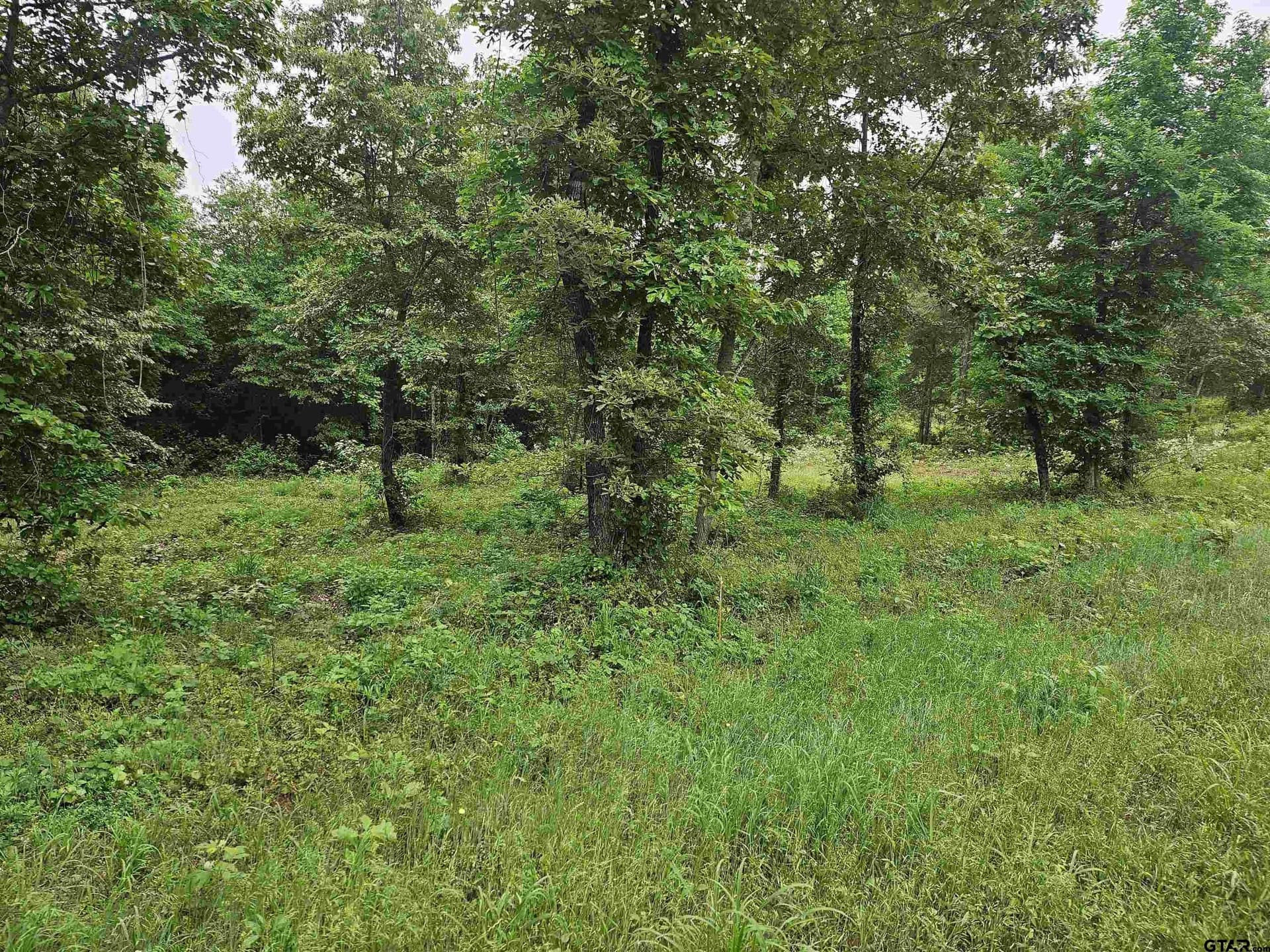 10.17 acres in Smith County gallery image 2