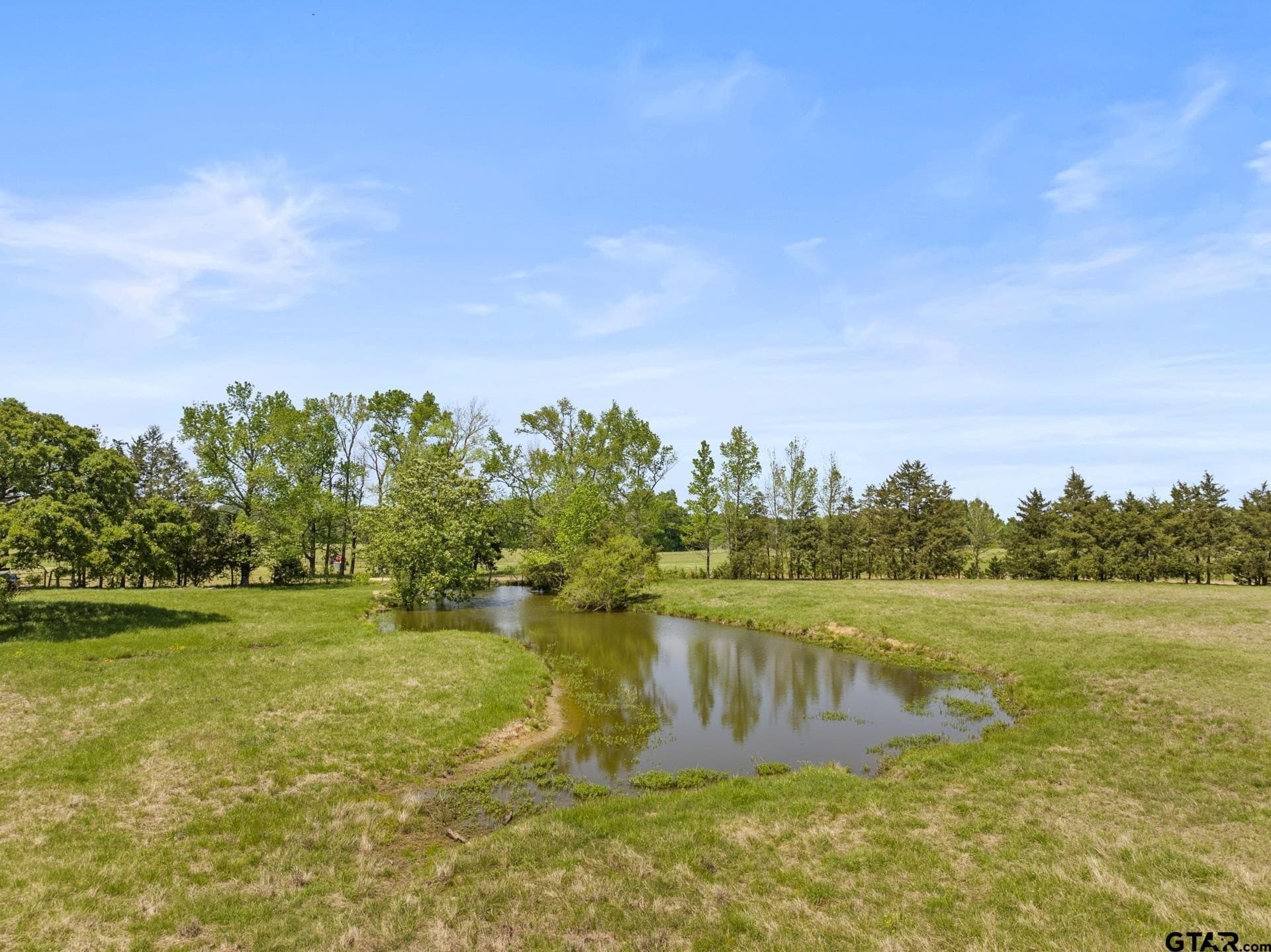 10 acres in Camp County - photo 6