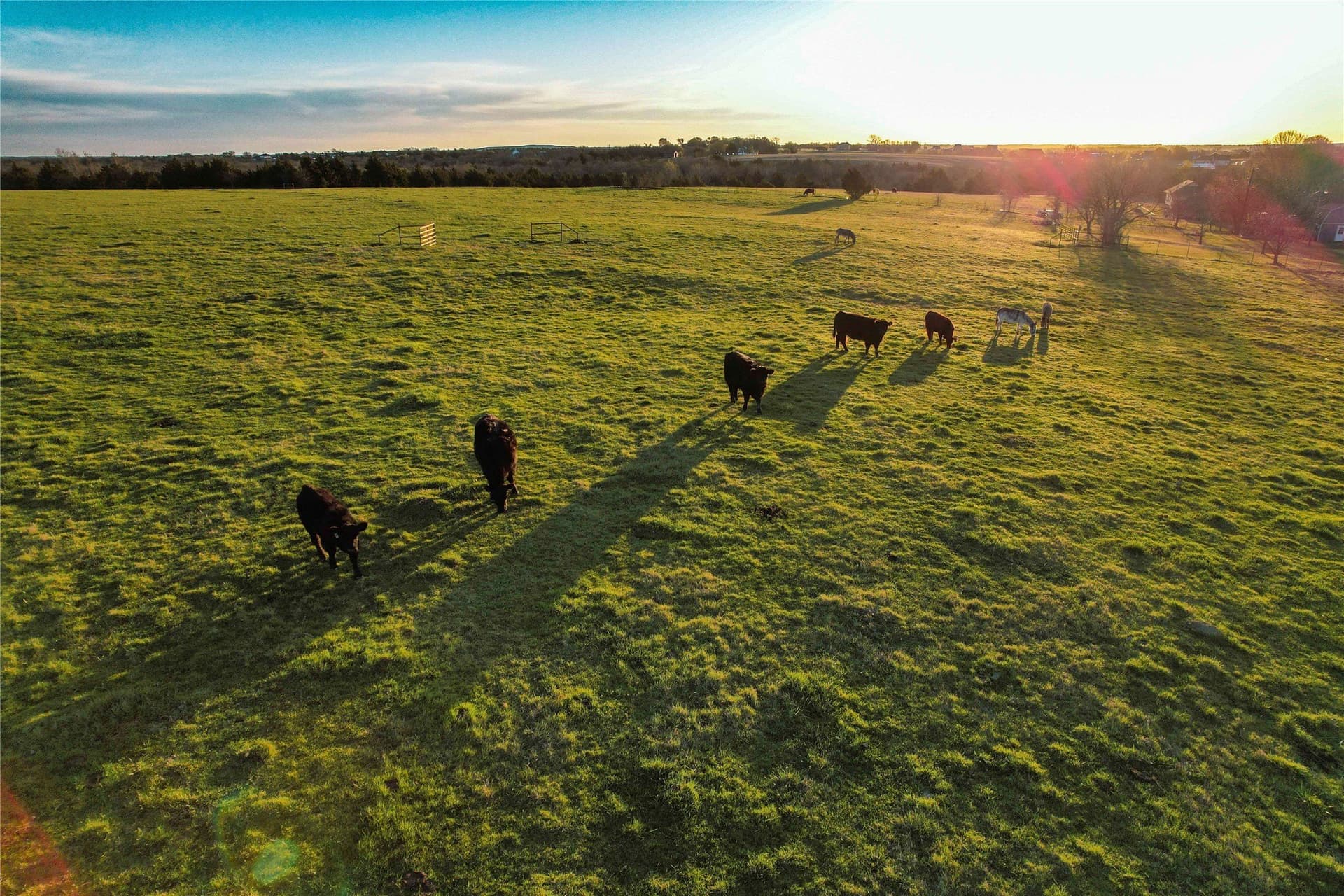 6 acres in Grayson County - photo 10