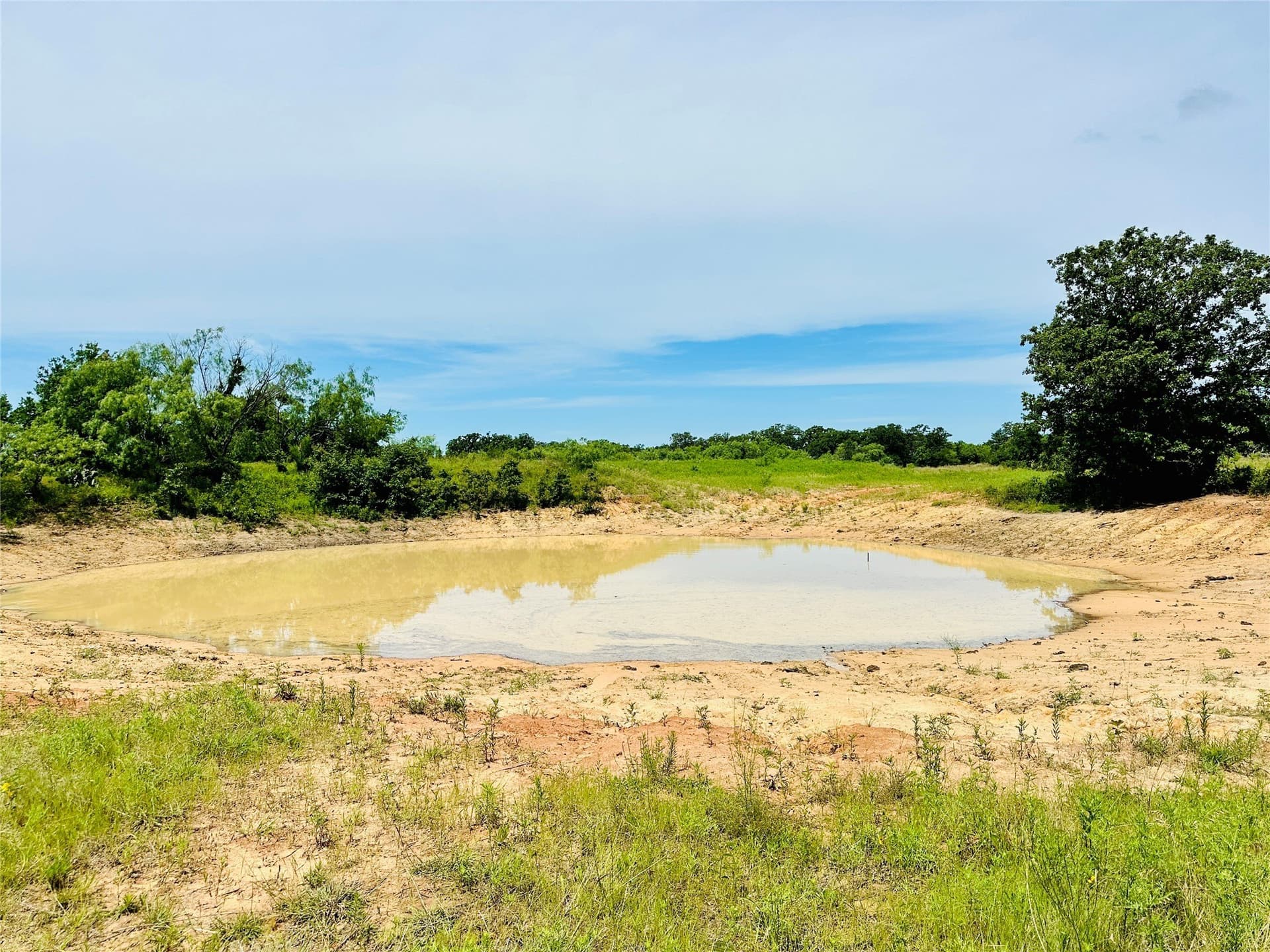 150 acres in Callahan County featured view