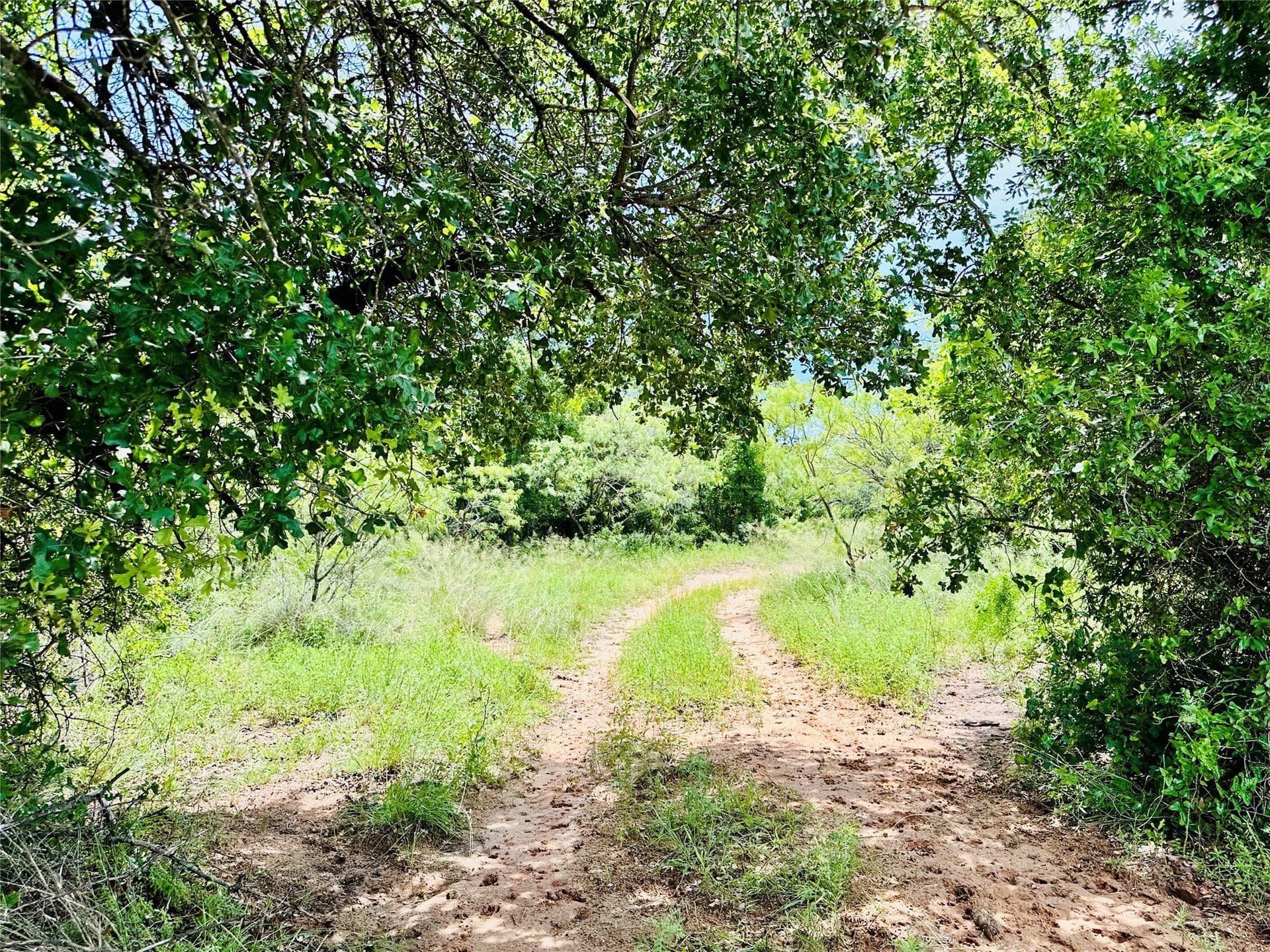 150 acres in Callahan County
