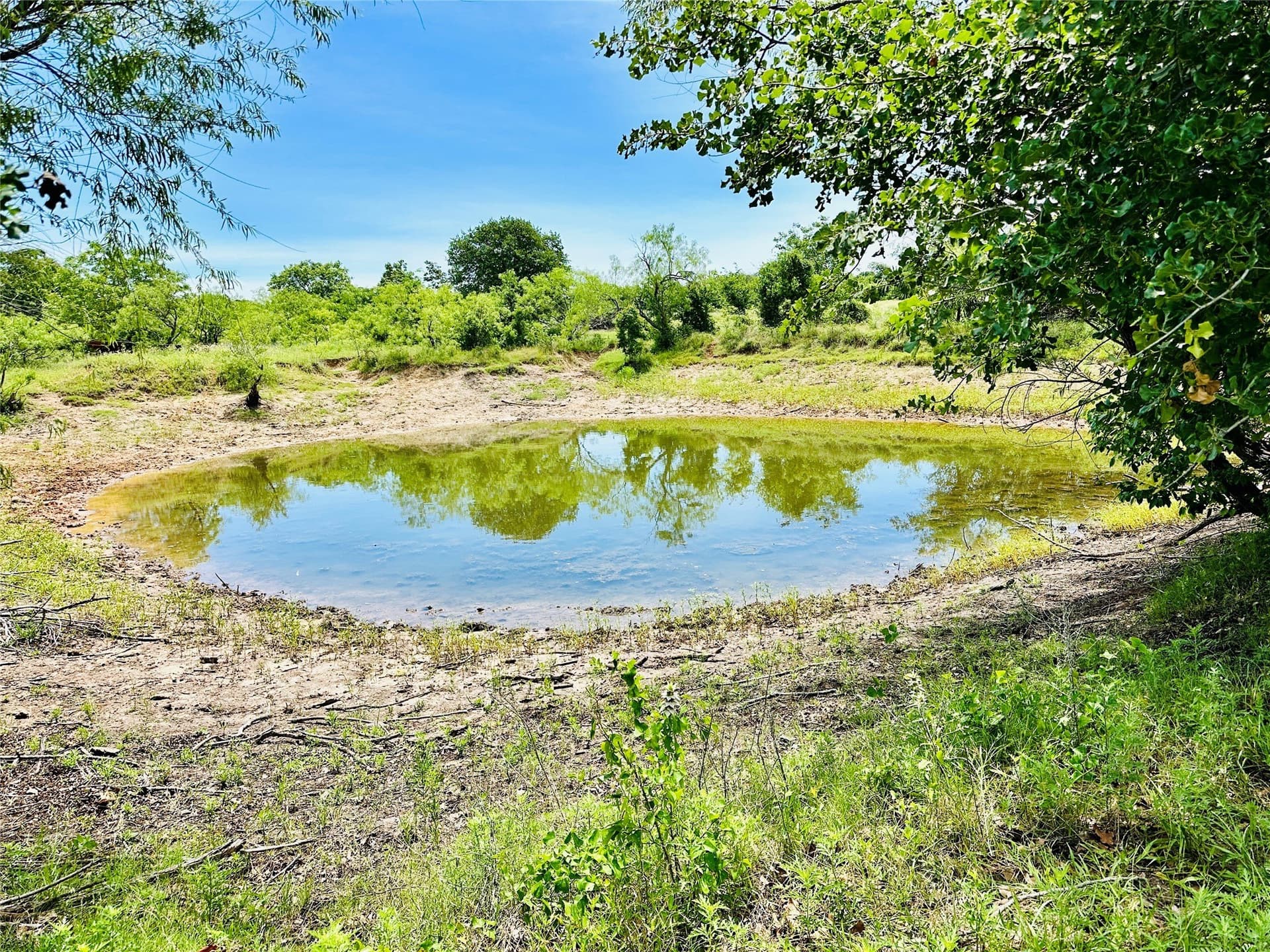 150 acres in Callahan County gallery image 2