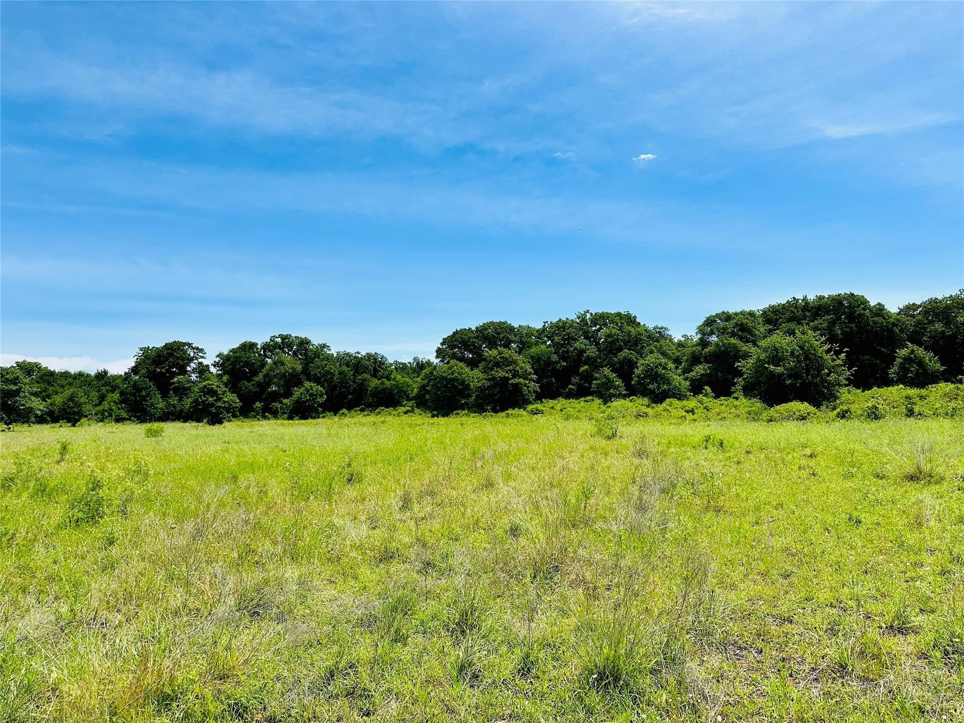 150 acres in Callahan County gallery image 4