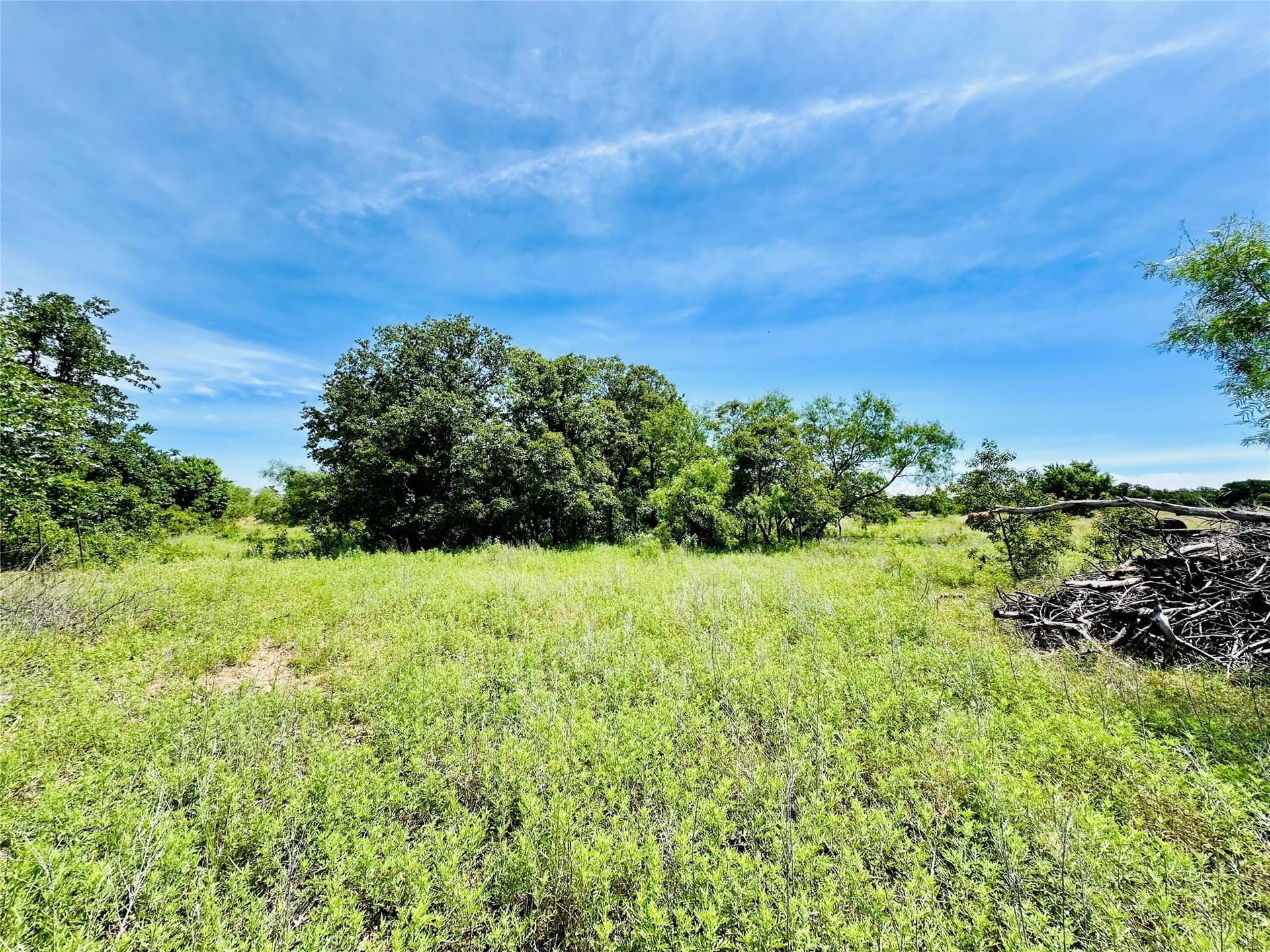 150 acres in Callahan County gallery image 3
