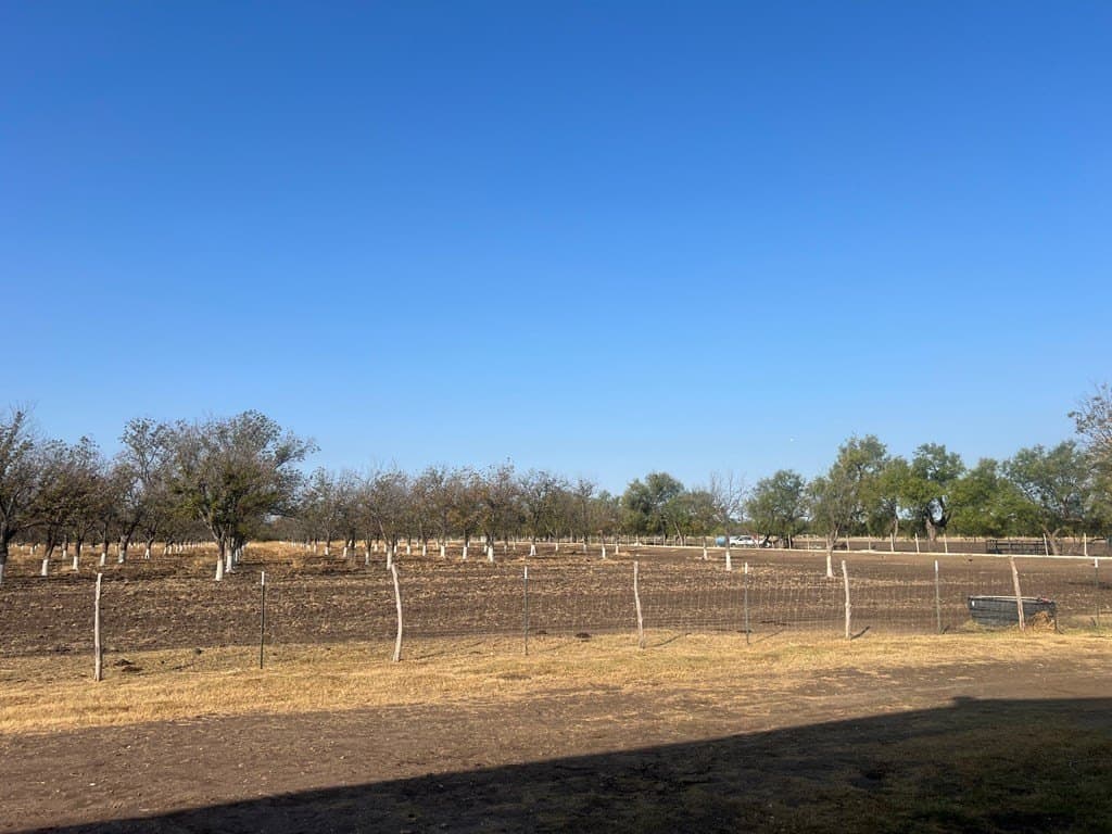 15.54 acres in Maverick County gallery image 2