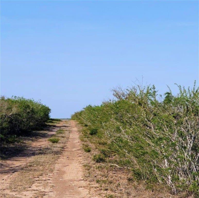 10.38 acres in Live Oak County gallery image 2