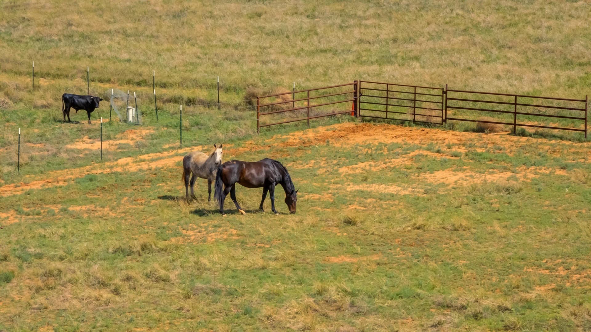 10.02 acres in Lubbock County featured view