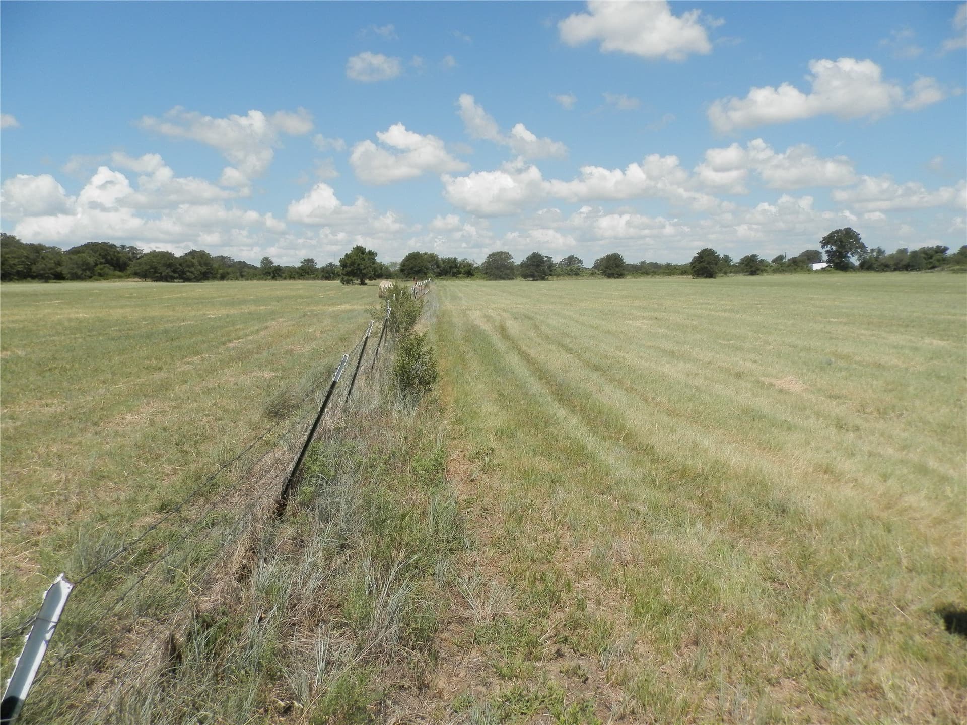 10.01 acres in Wise County - photo 10