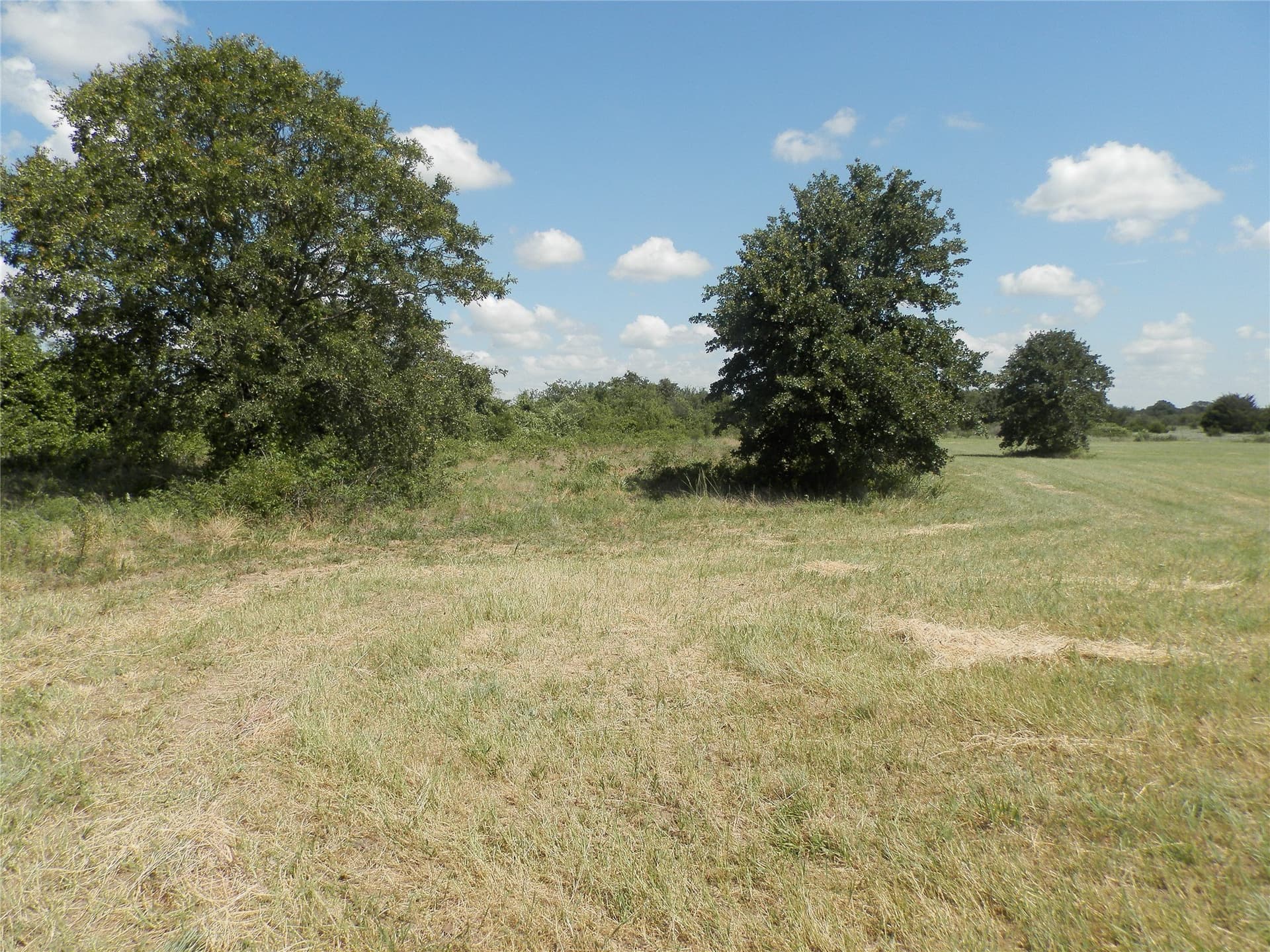 10.01 acres in Wise County - photo 17