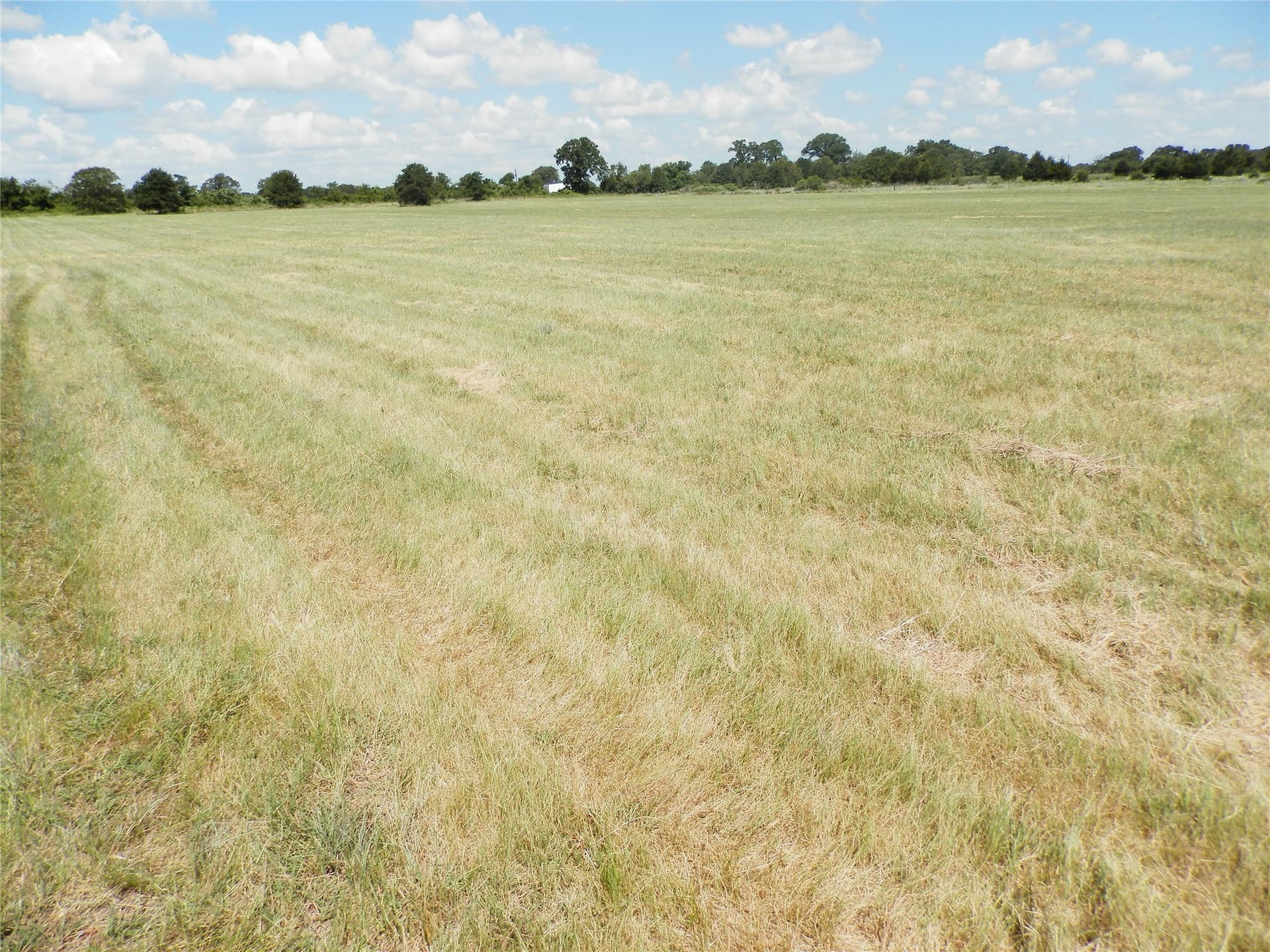 10.01 acres in Wise County - photo 12