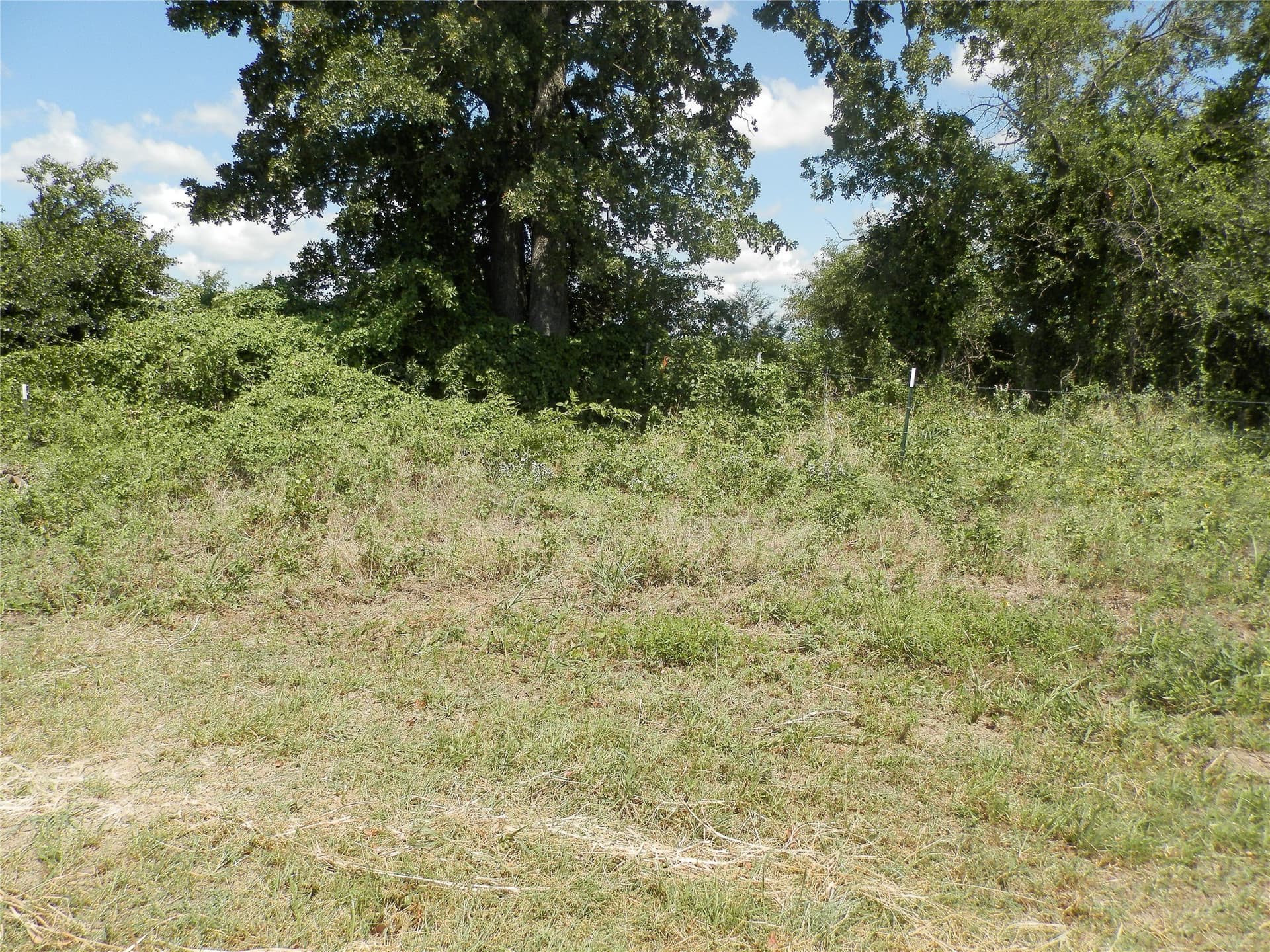 10.01 acres in Wise County - photo 14