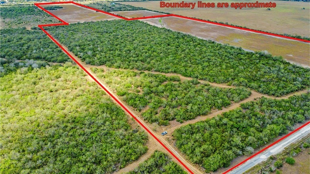 124.21 acres in Jim Wells County gallery image 3