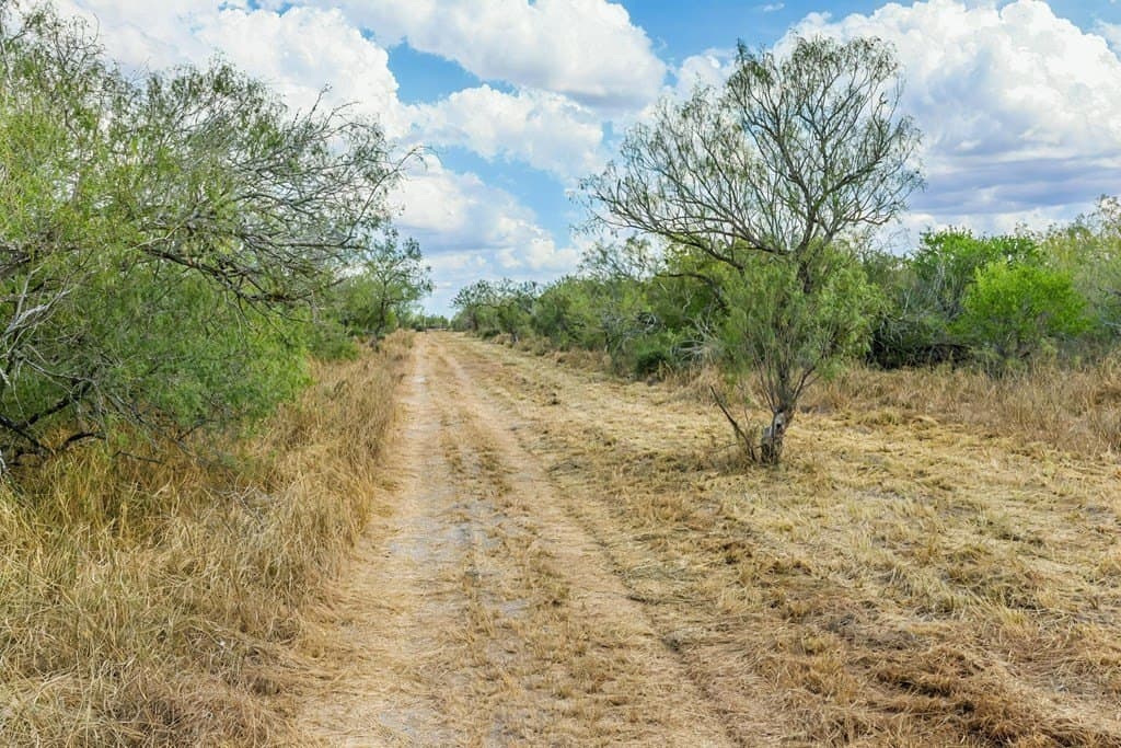 124.21 acres in Jim Wells County - photo 7