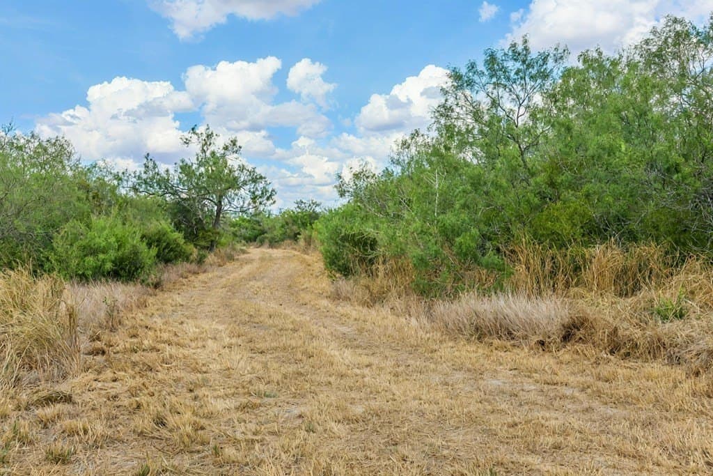 124.21 acres in Jim Wells County - photo 6