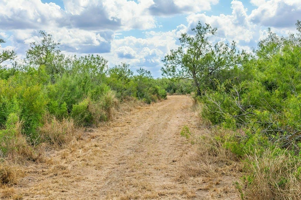 124.21 acres in Jim Wells County featured view