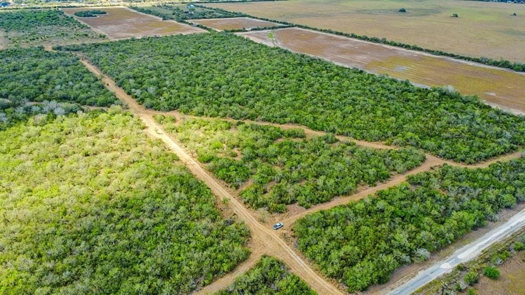 124.21 acres in Jim Wells County