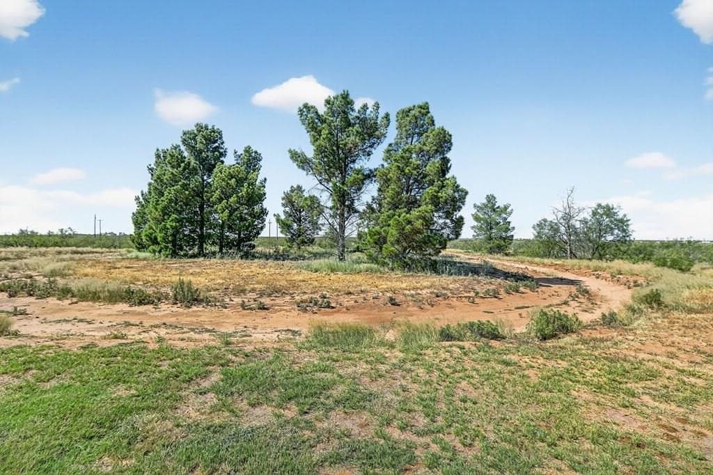 78.75 acres in Midland County - photo 12
