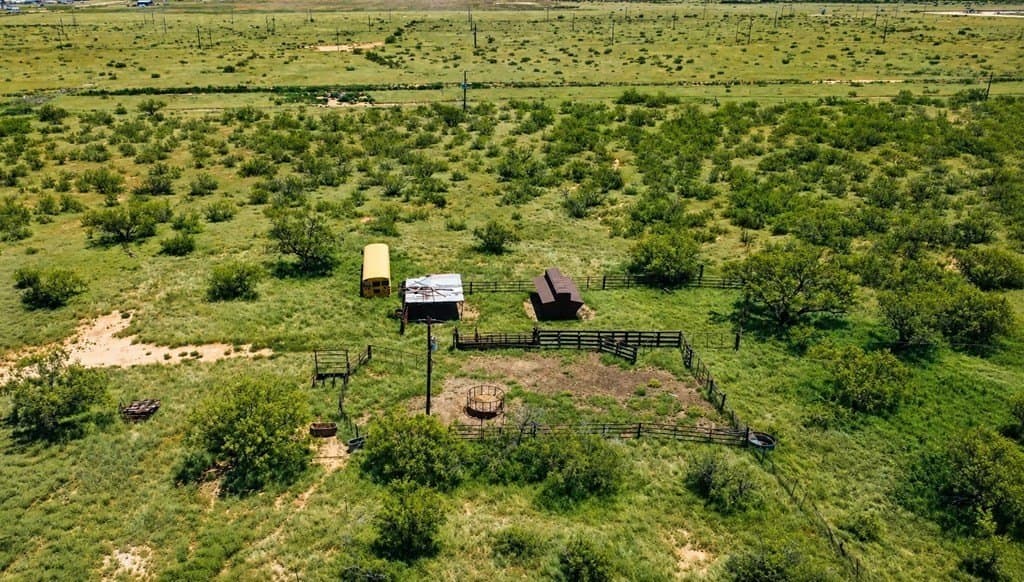 78.75 acres in Midland County gallery image 4