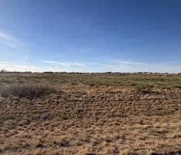 160 acres in Gaines County - photo 4