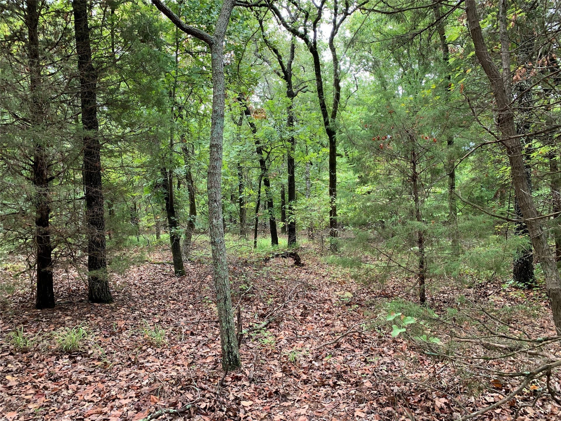 36.97 acres in Henderson County - photo 11