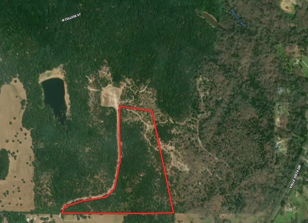 36.97 acres in Henderson County gallery image 3