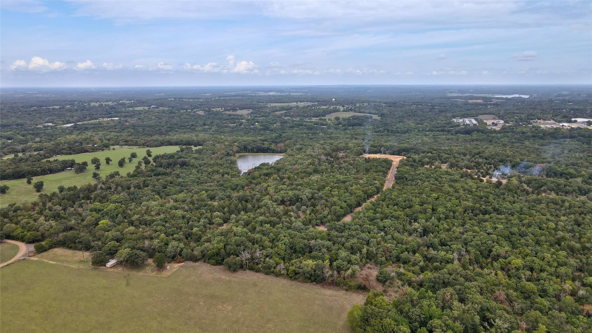36.97 acres in Henderson County gallery image 2