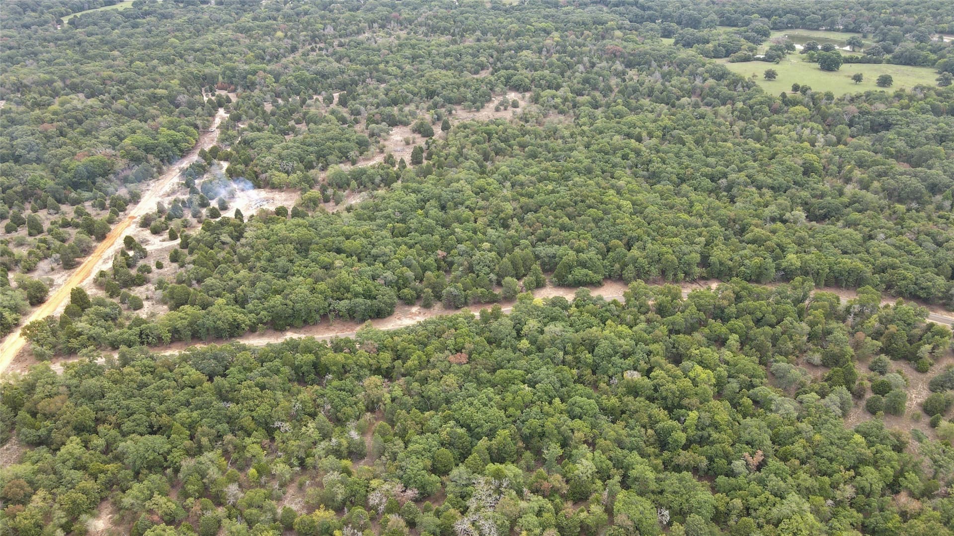36.97 acres in Henderson County - photo 7
