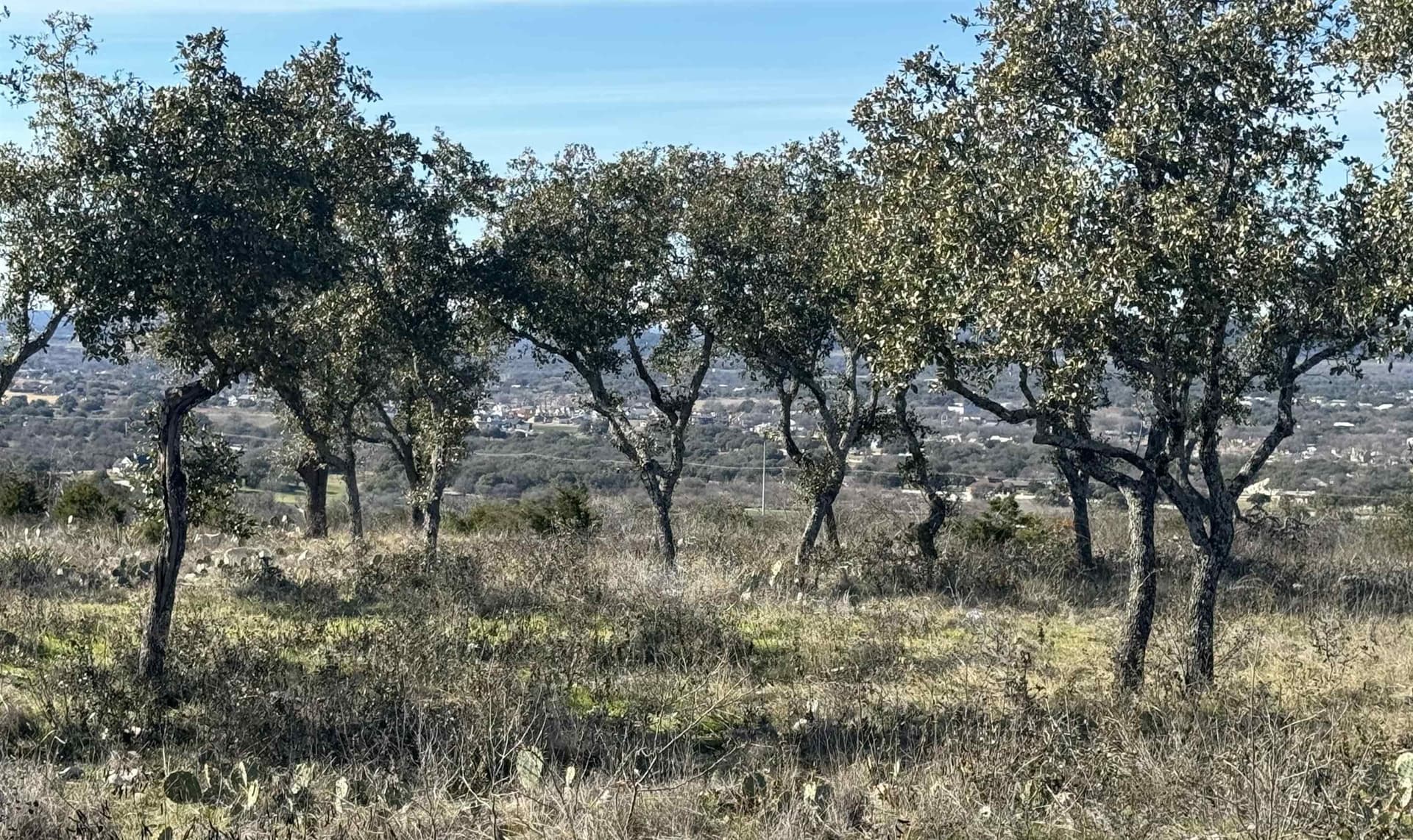 7.7 acres in Burnet County - photo 15