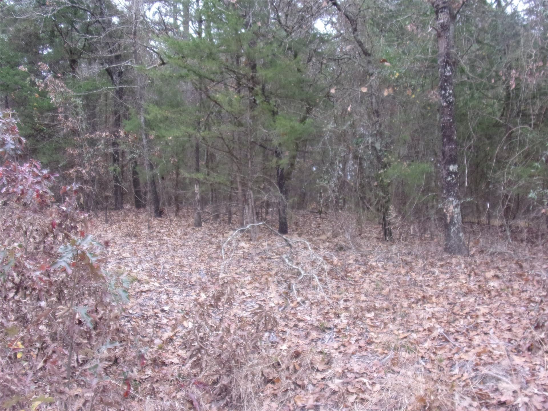 1.24 acres in Van Zandt County gallery image 4