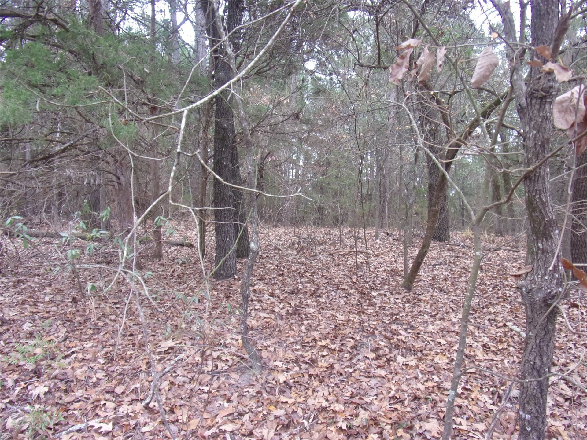 1.24 acres in Van Zandt County - photo 7