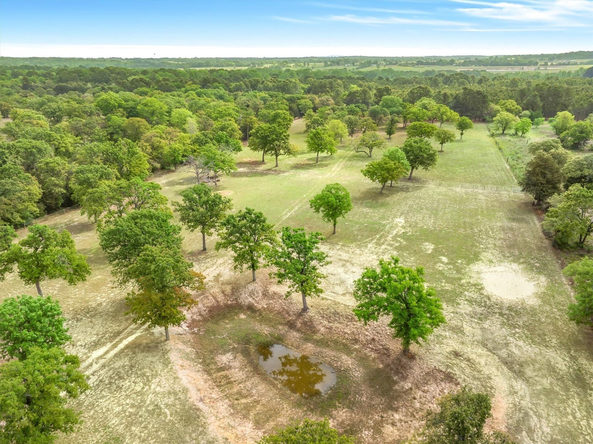 12.54 acres in Henderson County - photo 12