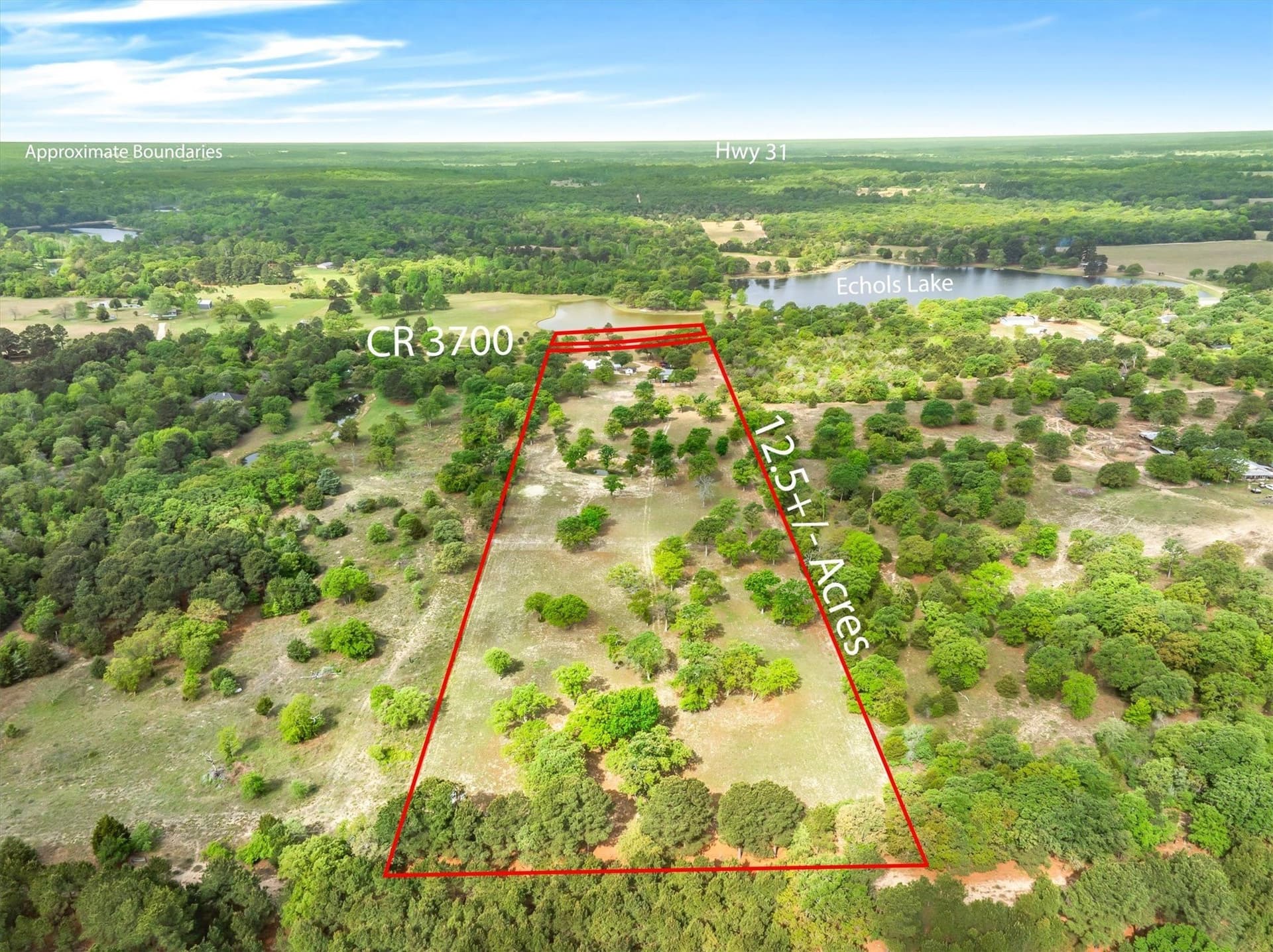 12.54 acres in Henderson County - photo 14