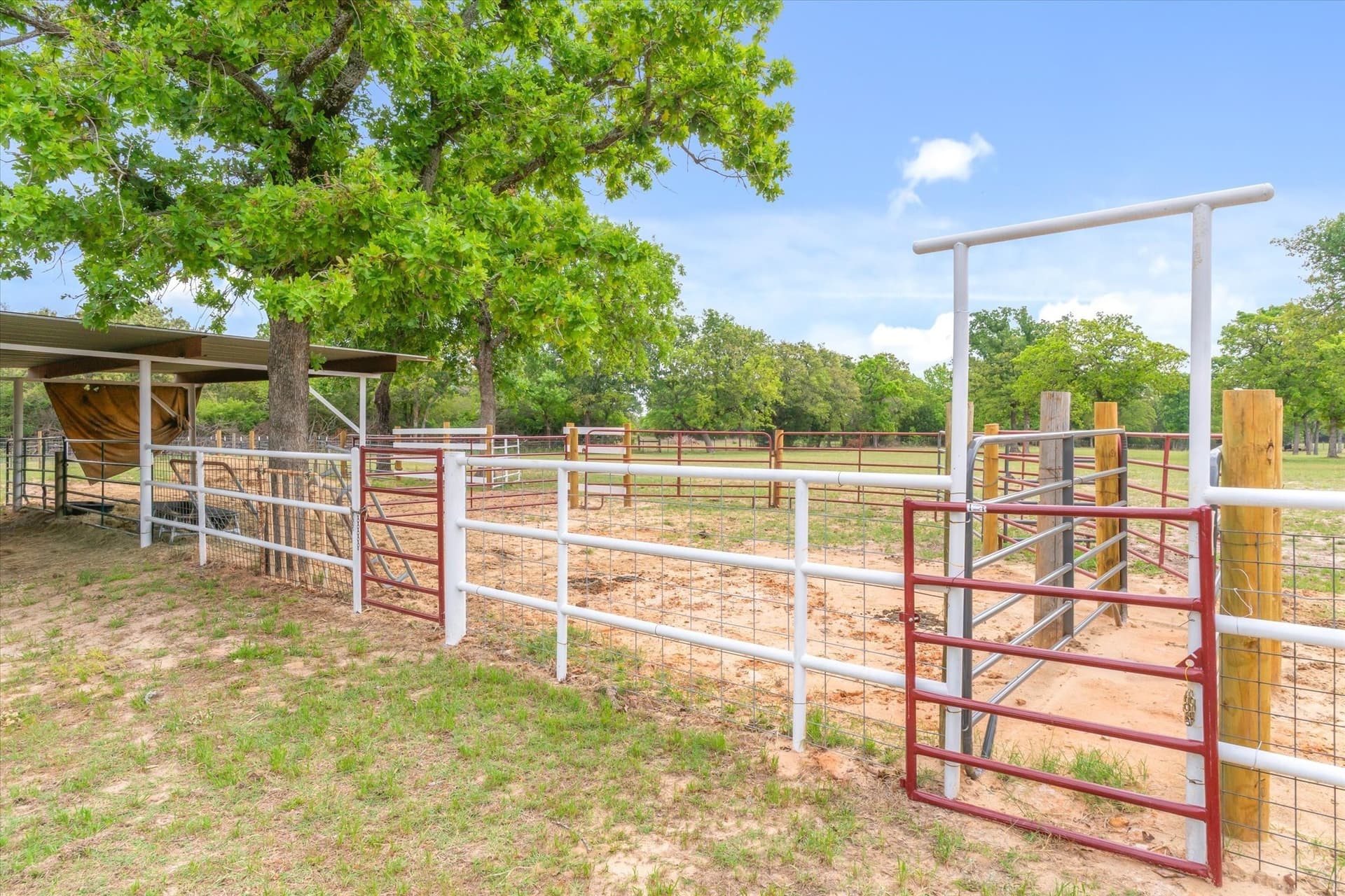 12.54 acres in Henderson County - photo 38