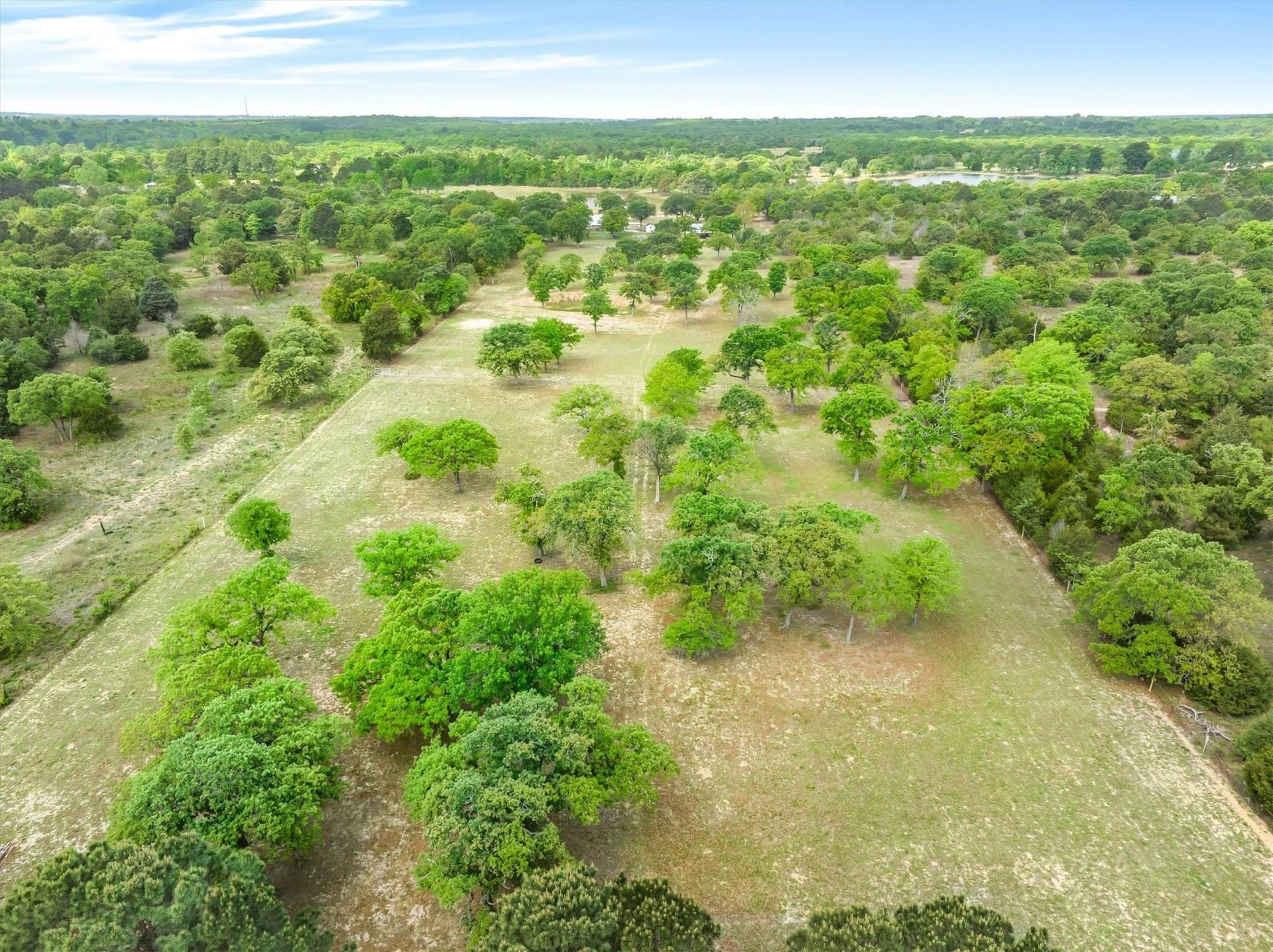 12.54 acres in Henderson County - photo 7