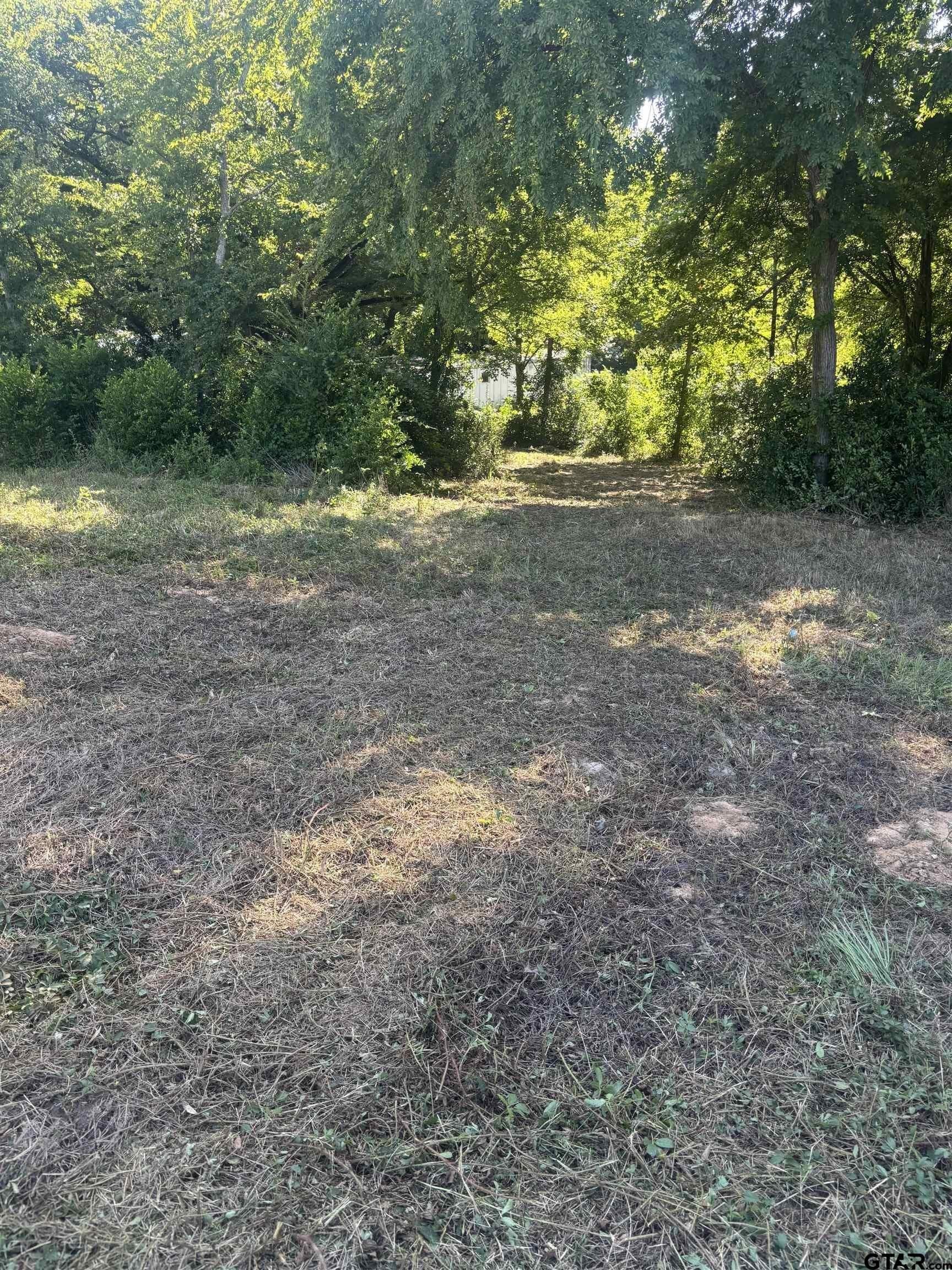 3 acres in Henderson County - photo 6