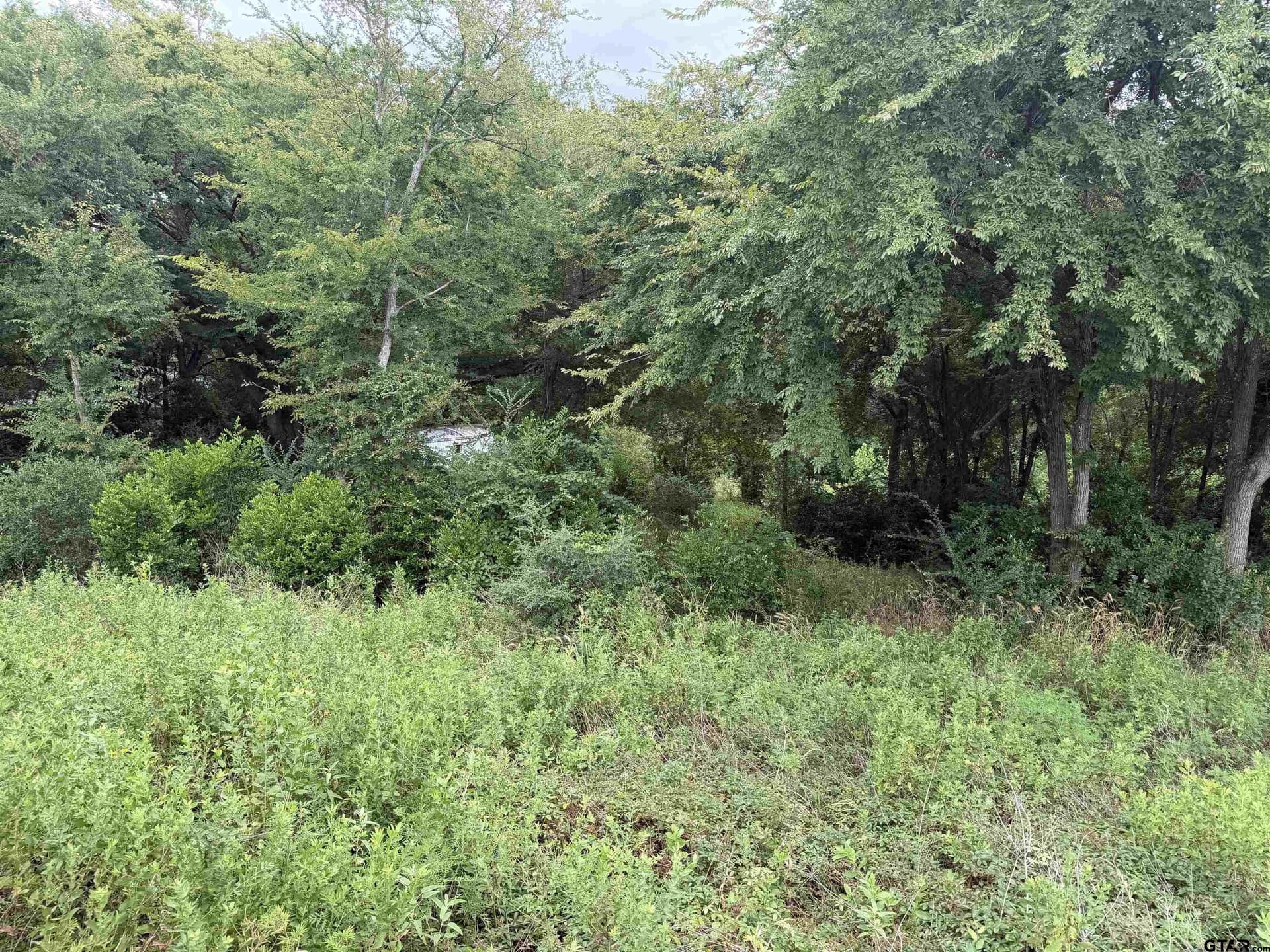 3 acres in Henderson County - photo 4