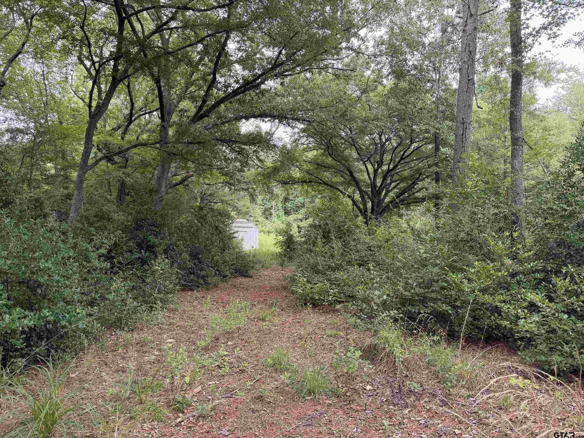 3 acres in Henderson County - photo 3
