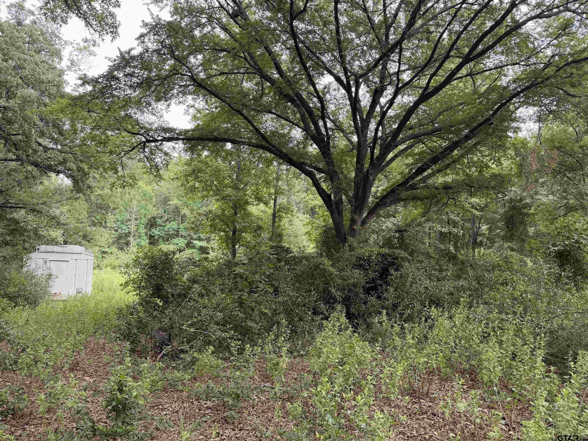 3 acres in Henderson County - photo 2