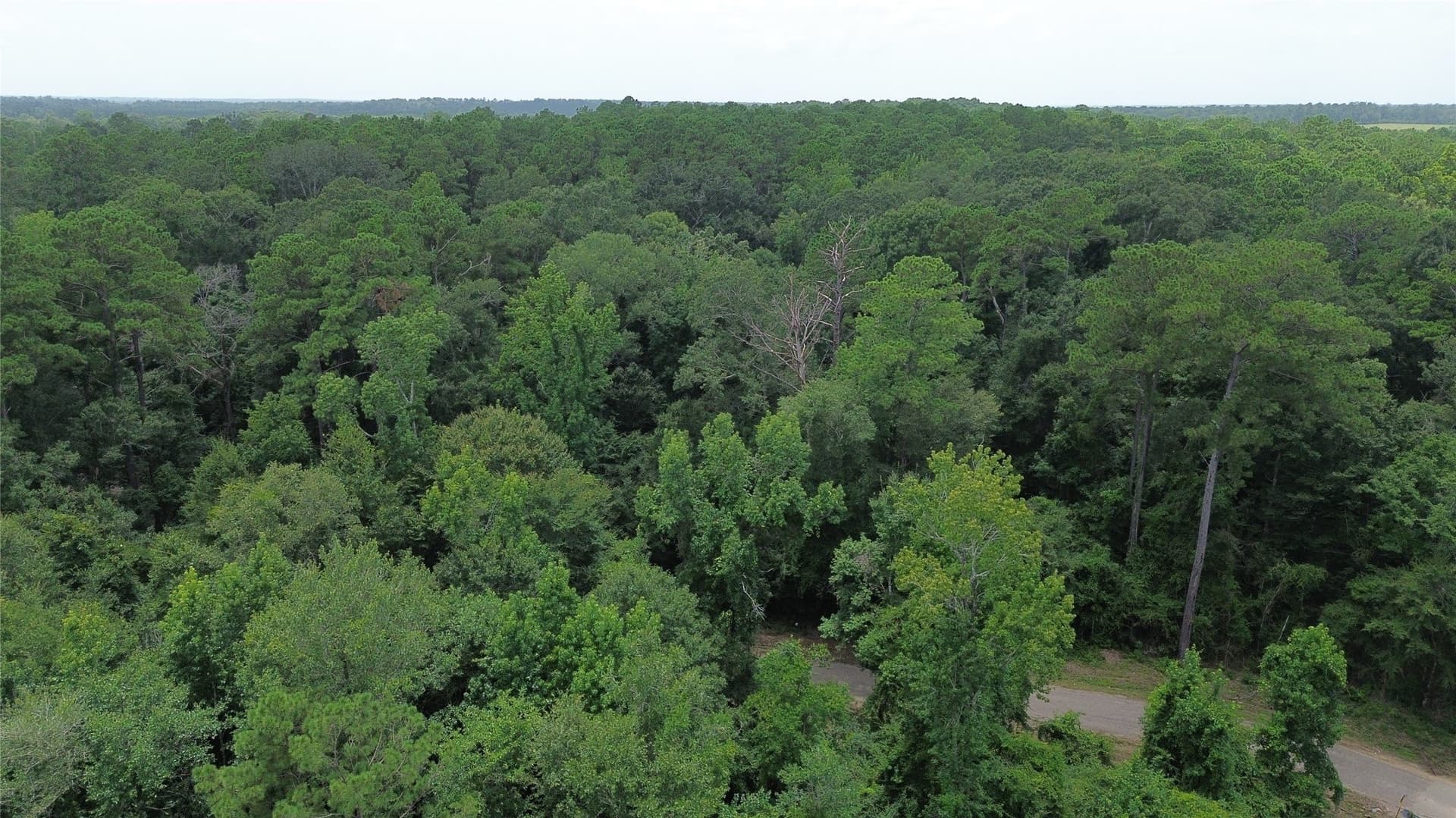 4 acres in Jasper County - photo 9