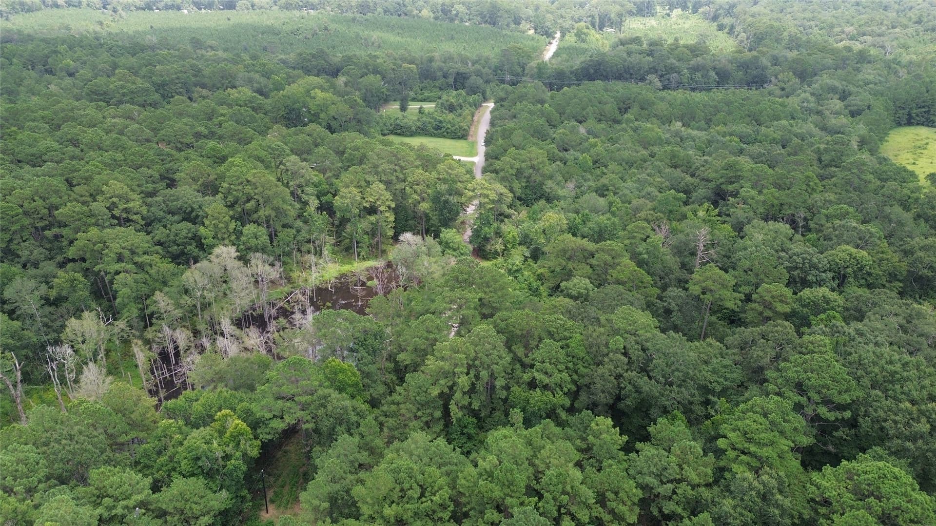 4 acres in Jasper County - photo 4