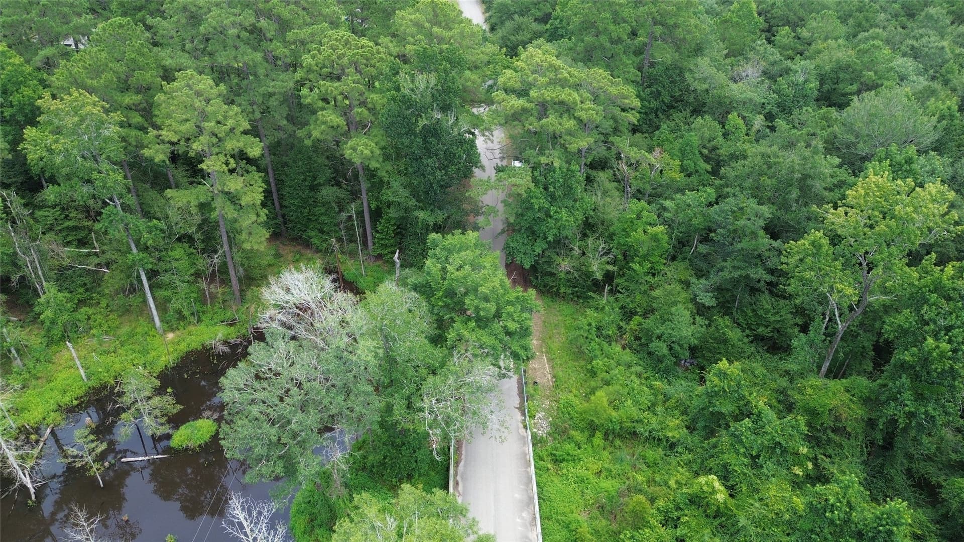 4 acres in Jasper County - photo 6