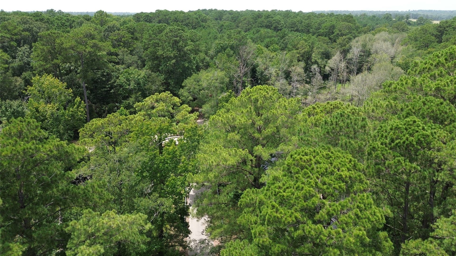 4 acres in Jasper County - photo 10