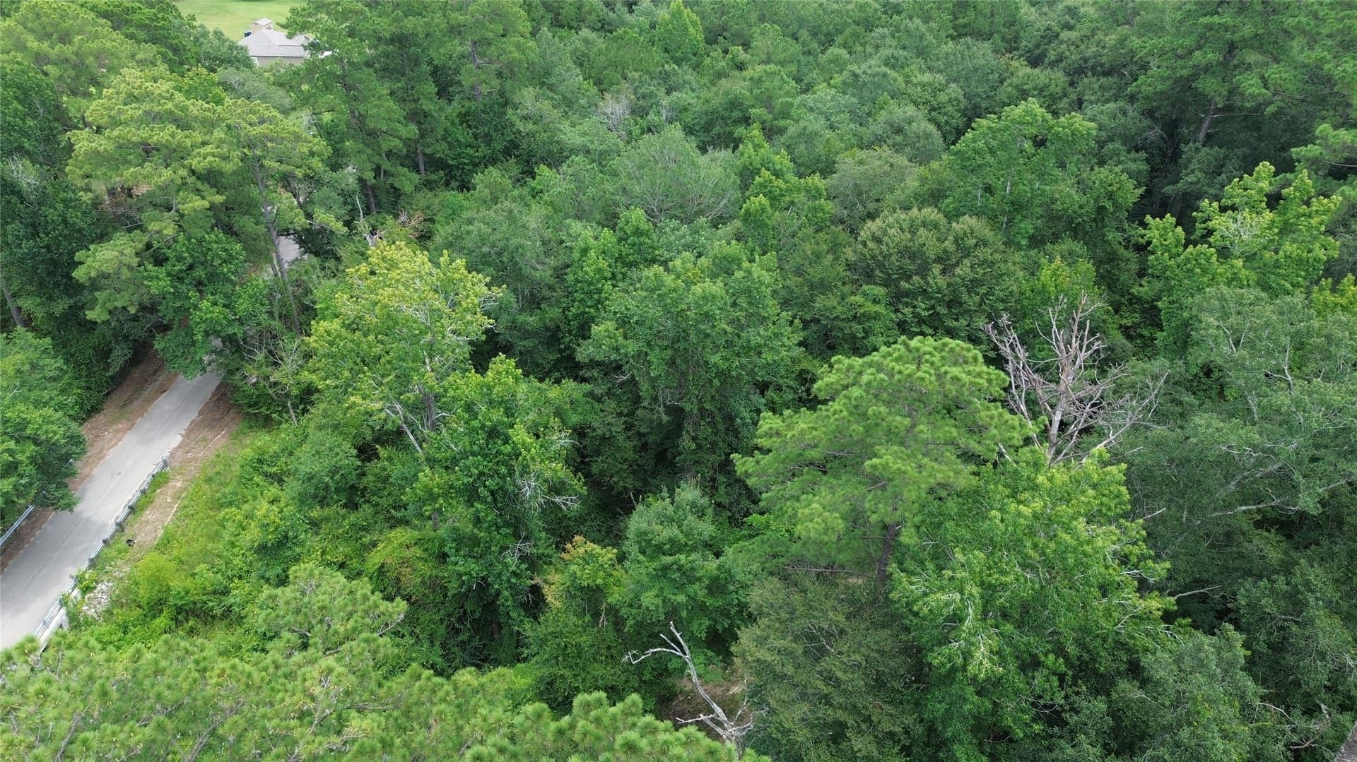 4 acres in Jasper County - photo 8
