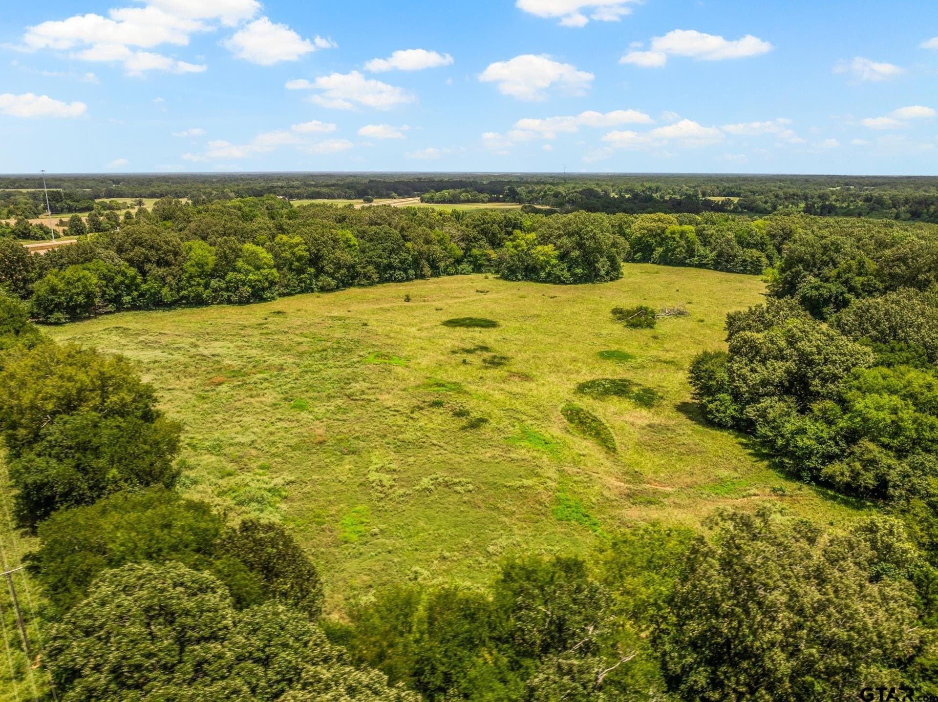 107 acres in Titus County - photo 18