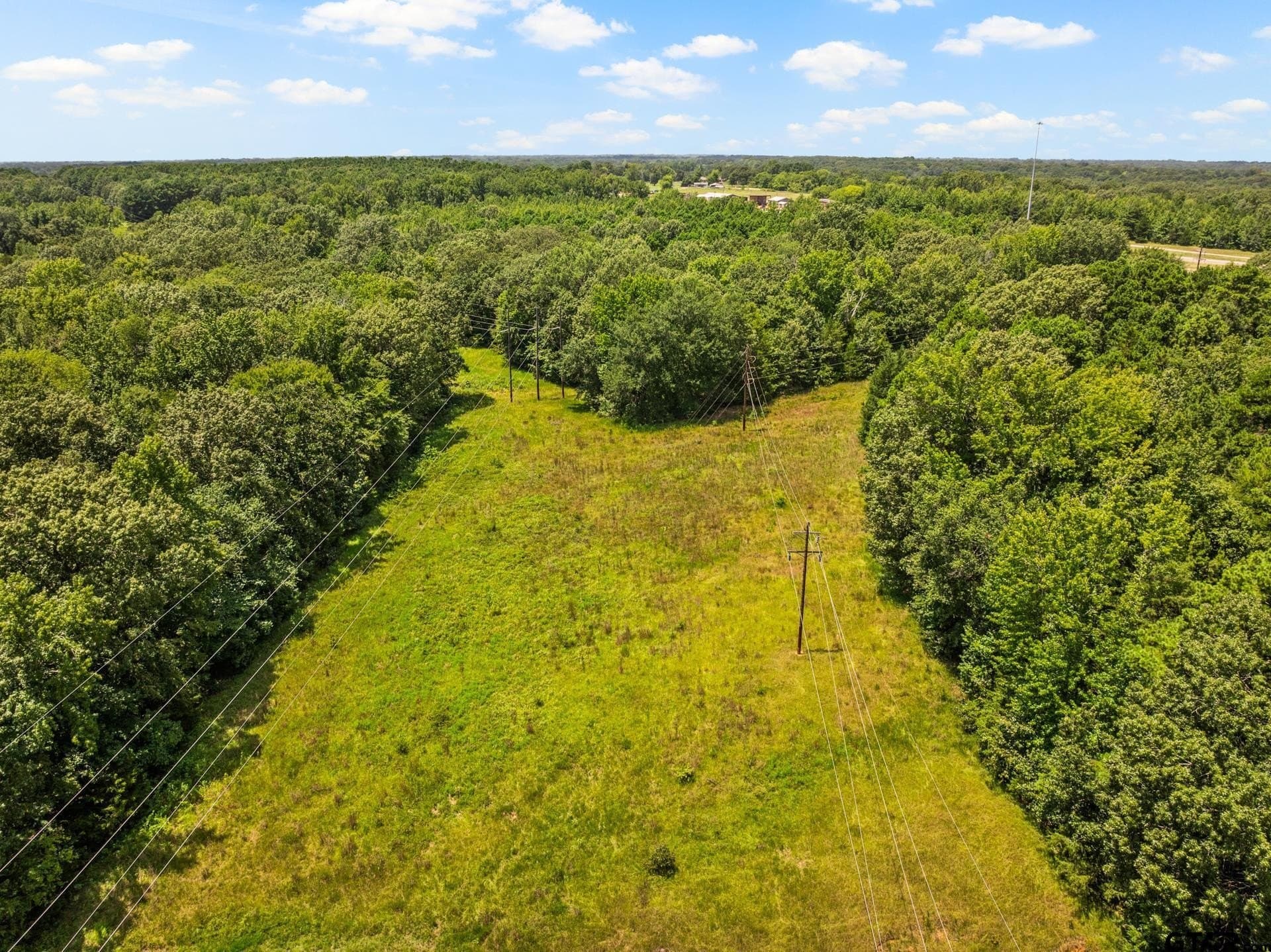 107 acres in Titus County - photo 21