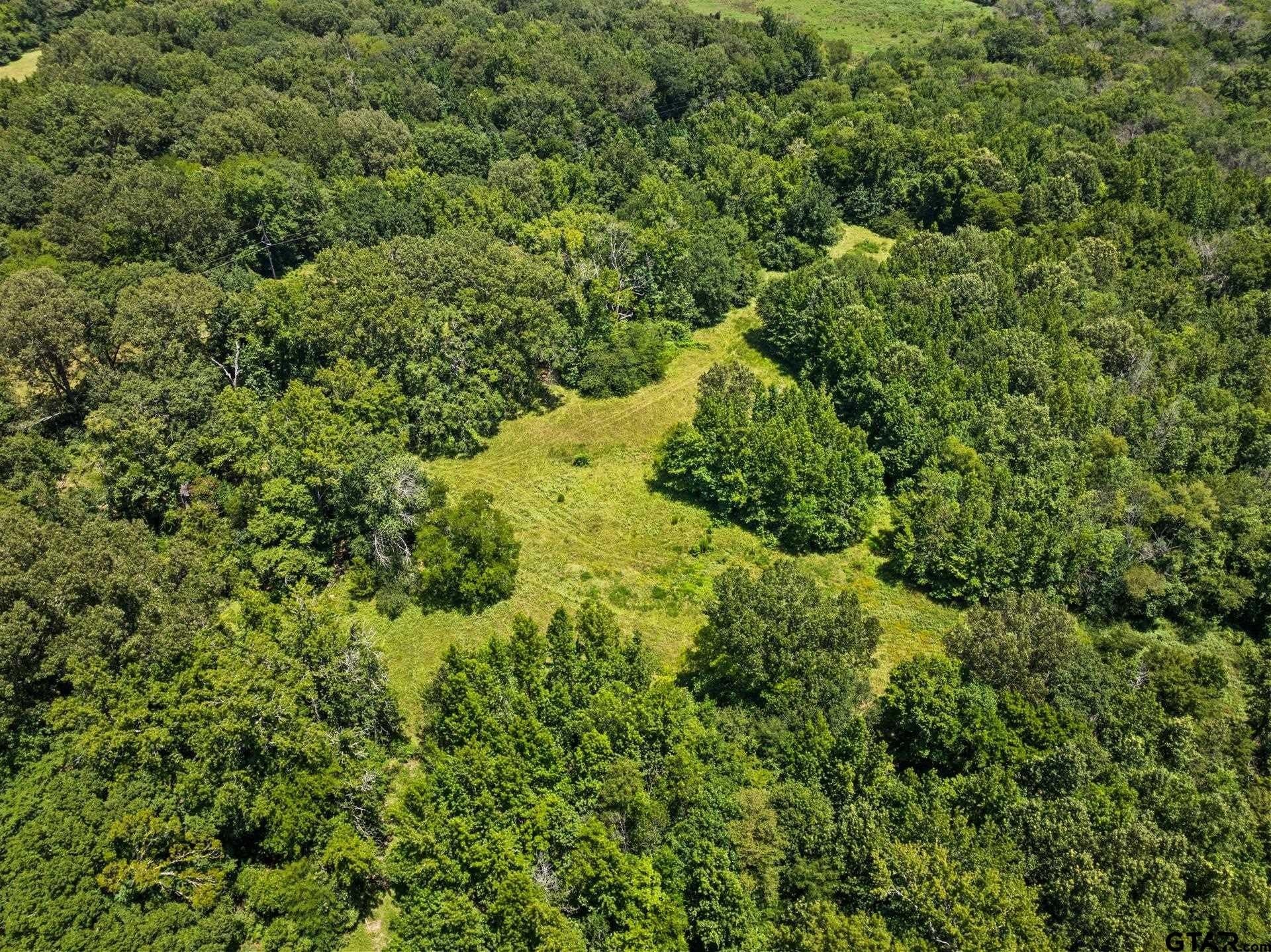 107 acres in Titus County - photo 13
