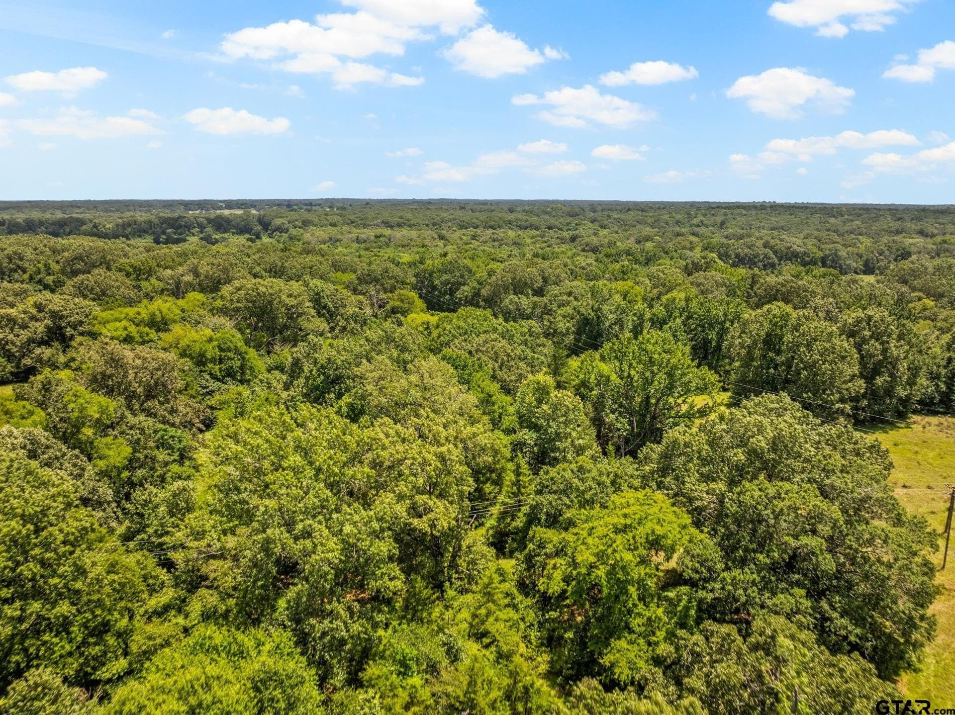 107 acres in Titus County - photo 22