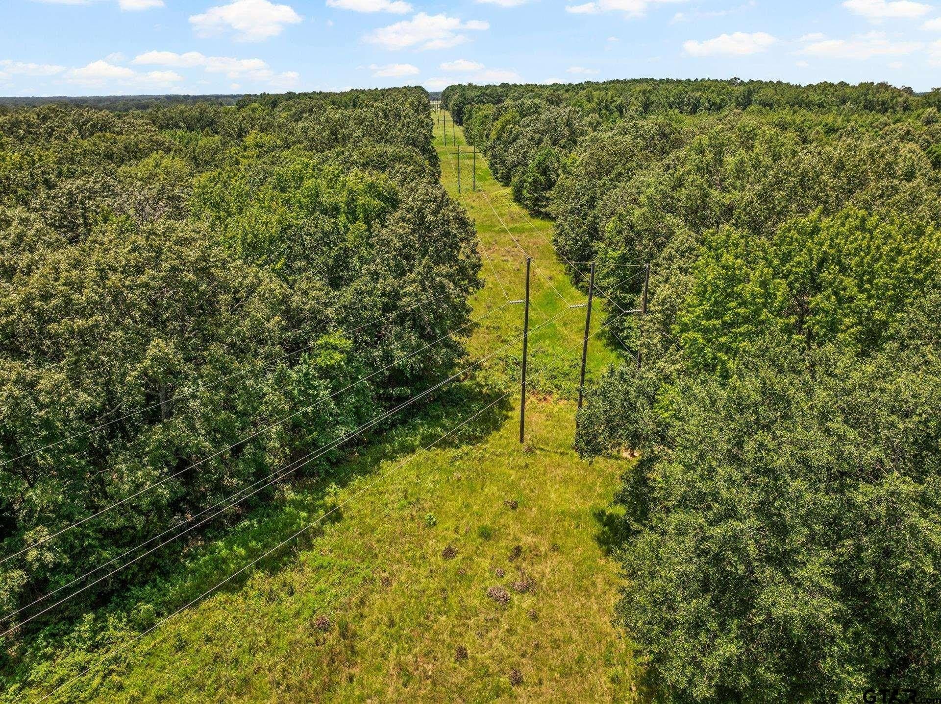 107 acres in Titus County - photo 27
