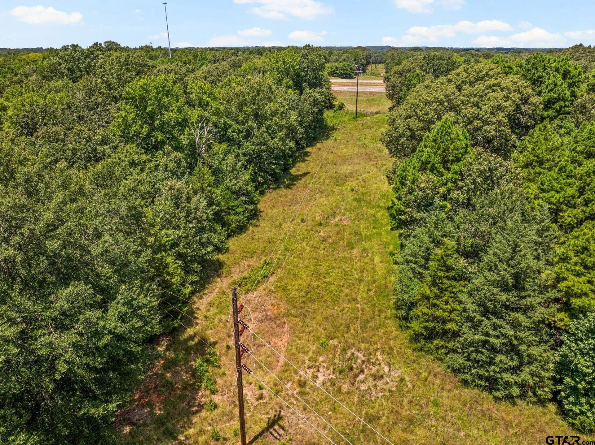 107 acres in Titus County - photo 19
